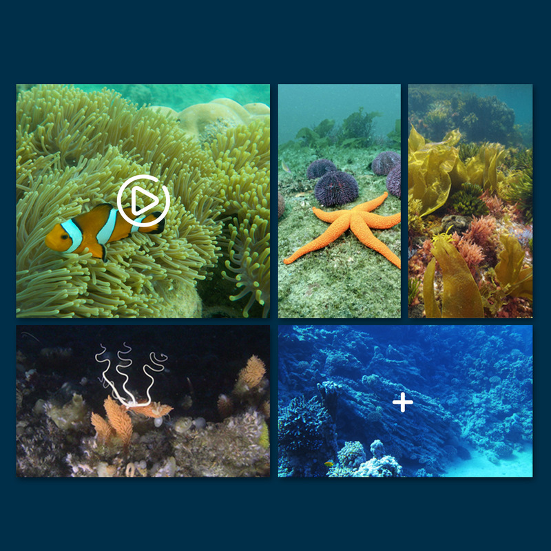 Mini Wifi Rc Underwater Camera - Rc Hobby Photos 评论和价格